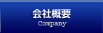 ЊTv Company